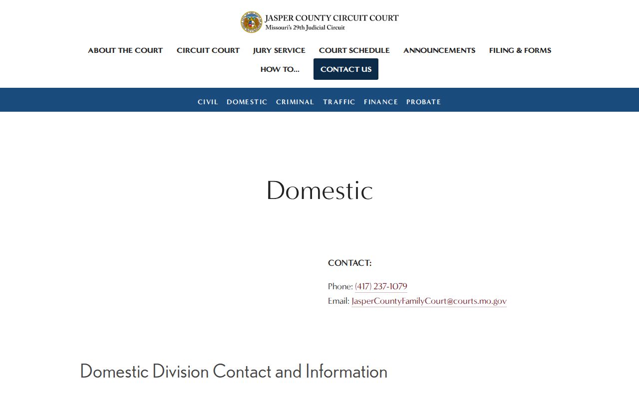Jasper County civil court docket family case type and service information