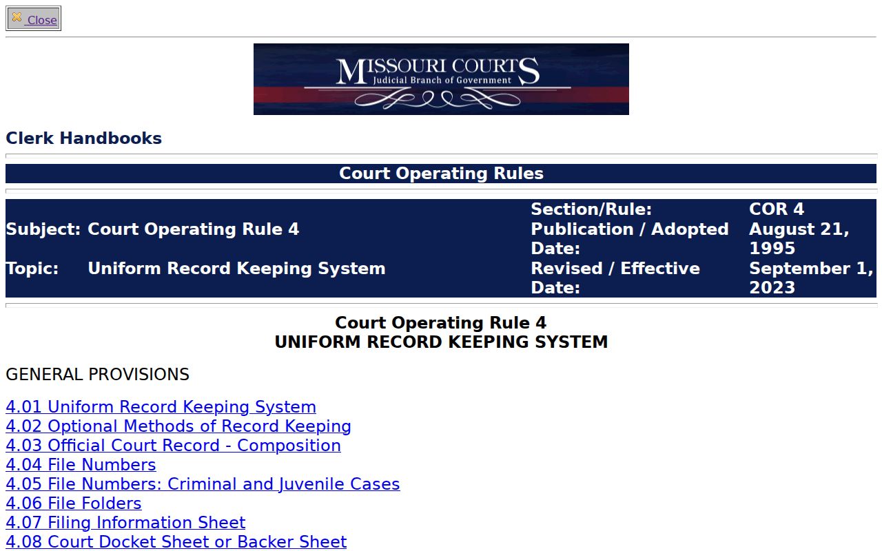 Jasper County civil court docket operating rule field and case category standards